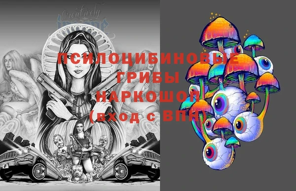 ПСИЛОЦИБИНОВЫЕ ГРИБЫ Алзамай