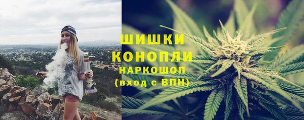 ПСИЛОЦИБИНОВЫЕ ГРИБЫ Алзамай