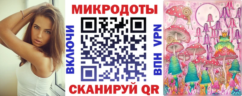 Псилоцибиновые грибы Psilocybe  купить наркоту  Поронайск 